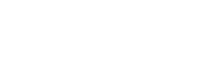 NVPI